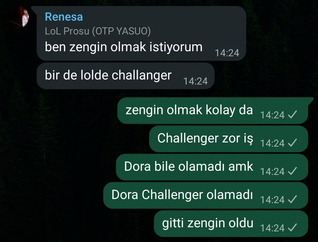 Çaycıbaşı tweet media