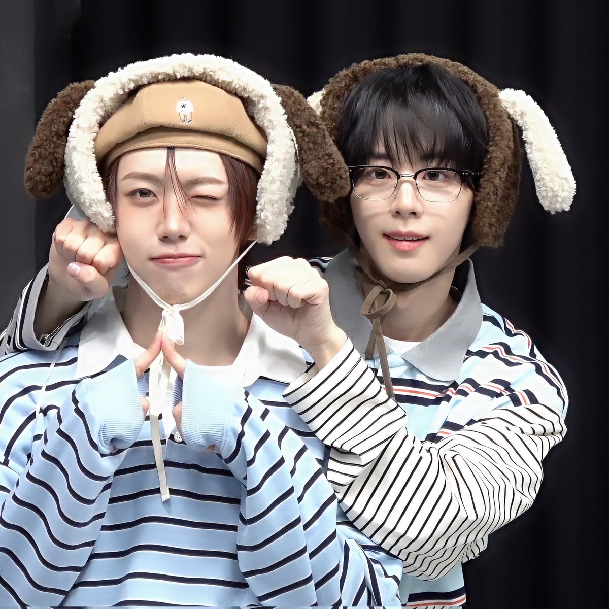 팤카 tweet media