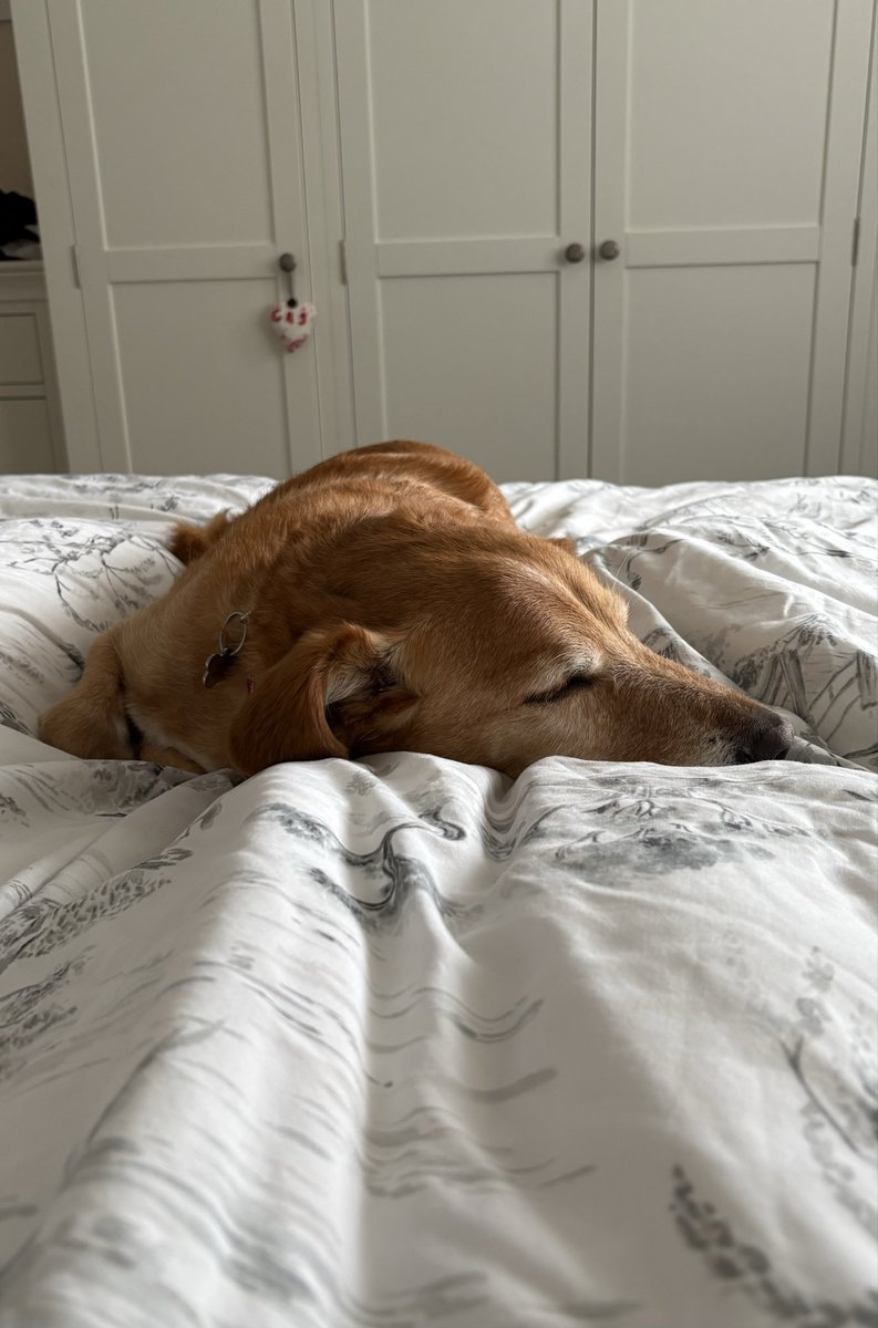 Sally Doherty writes 👩‍💻 tweet media