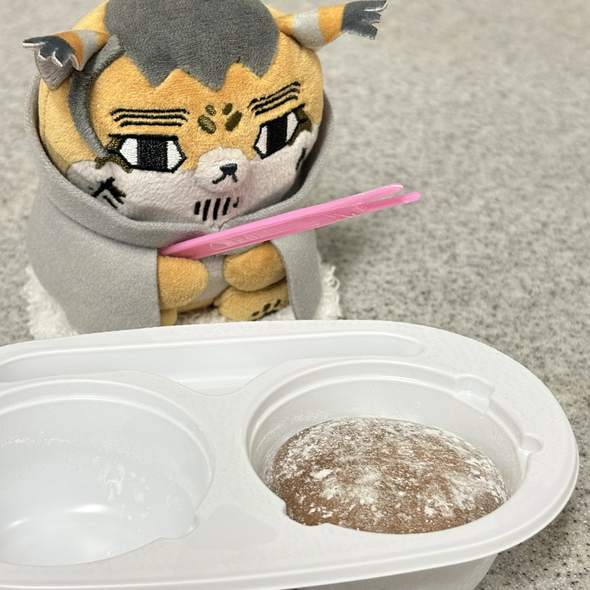 うちのほぜち tweet media