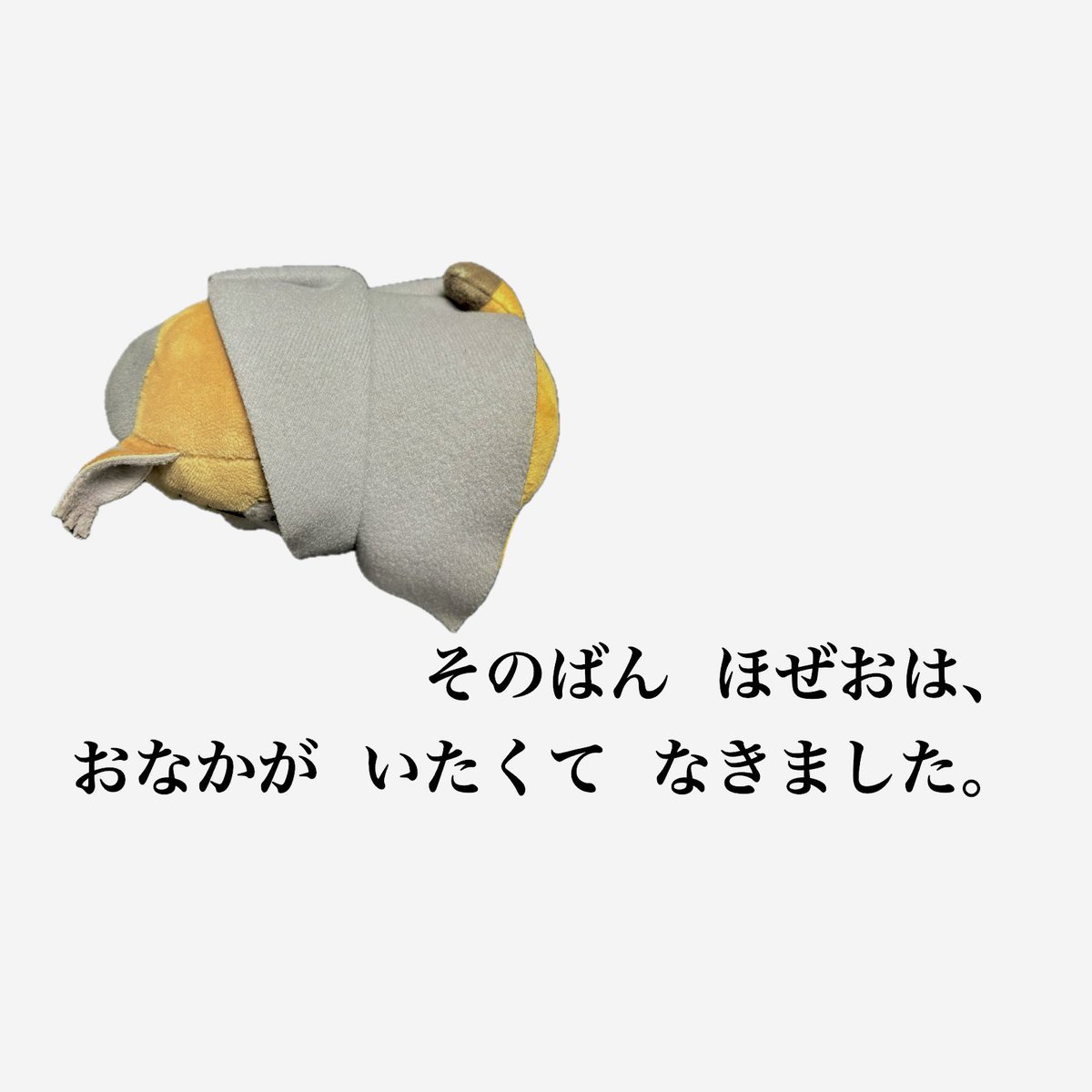 うちのほぜち tweet media