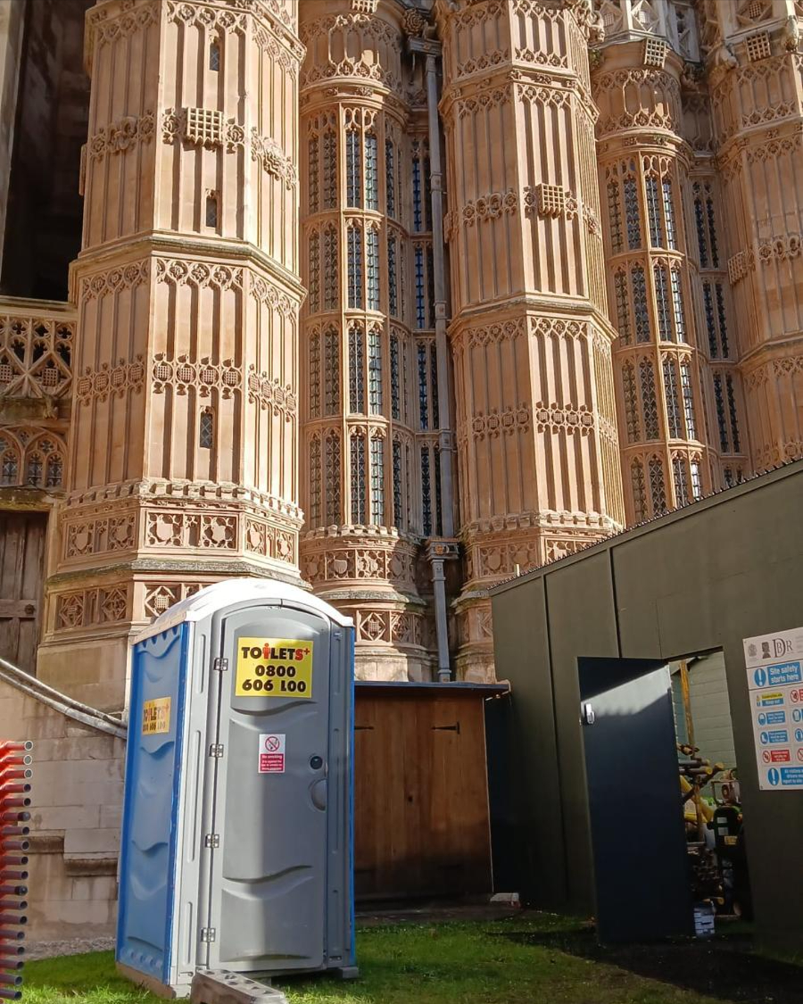 Toilets+ Limited tweet media