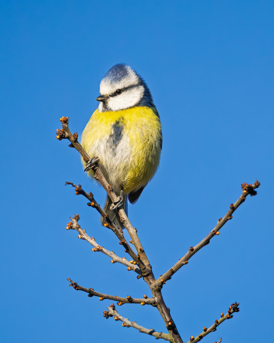 Mark Hume tweet media