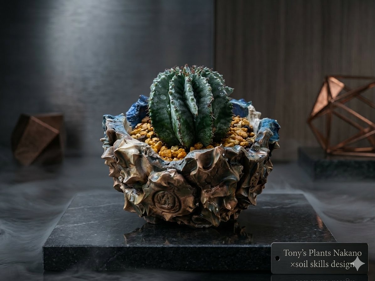 トニーver.カブトニー tweet media