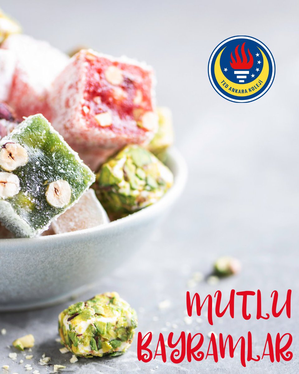 TED Ankara Koleji tweet media