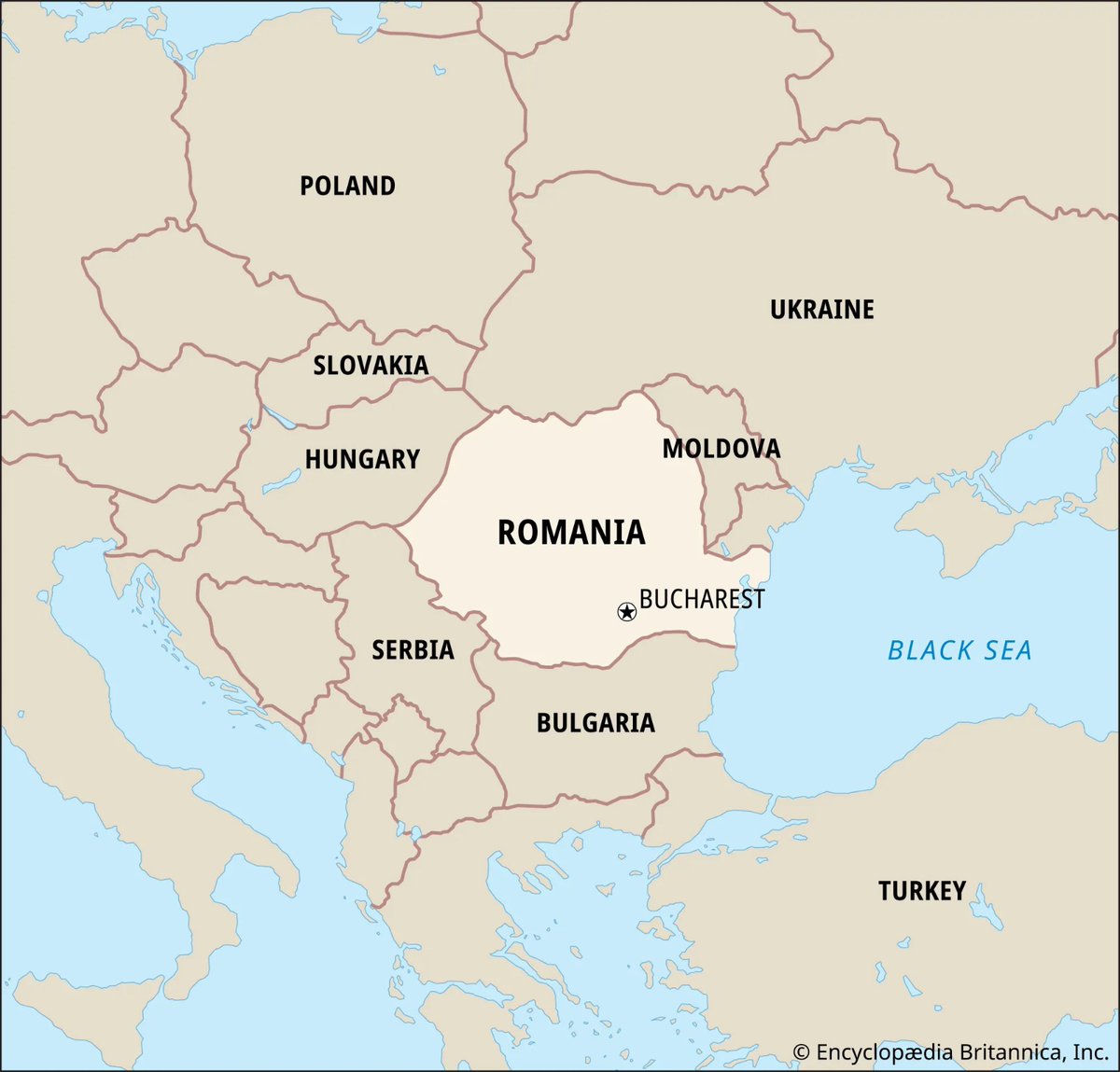 Mario Nawfal tweet media