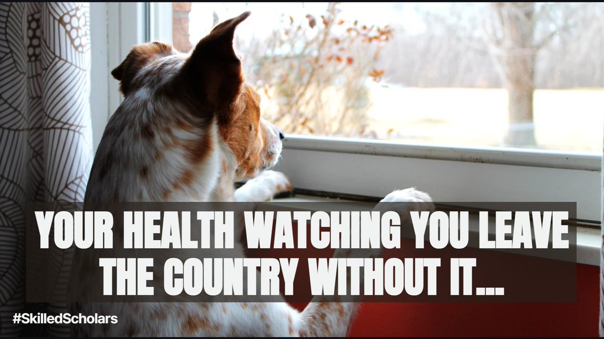 skilledscholar's tweet photo. Before traveling abroad, most people remember their passport…
…but forget their health.
Travel medicine exists for a reason. 😅

A quick consultation before a trip can prevent a lot of problems after landing.
Learn more about (CTMPN) on Skilled Scholars: https://t.co/ebEUxodJV2 https://t.co/zkfT4NFRUm