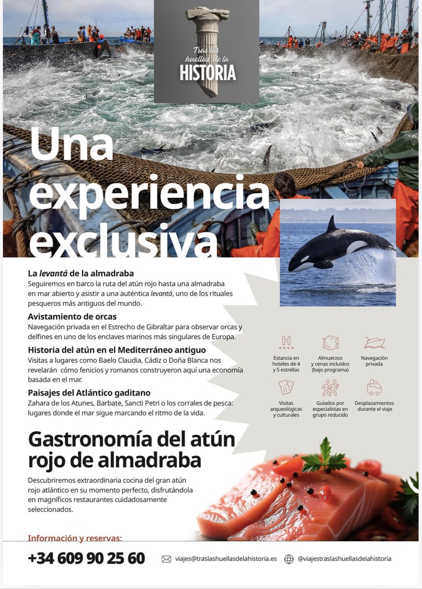 FERNANDO LÓPEZ-MIRONES tweet media