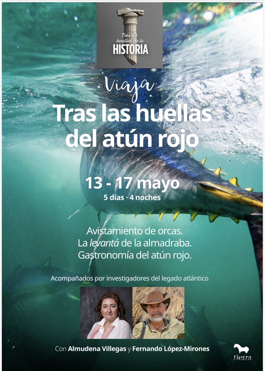 FERNANDO LÓPEZ-MIRONES tweet media