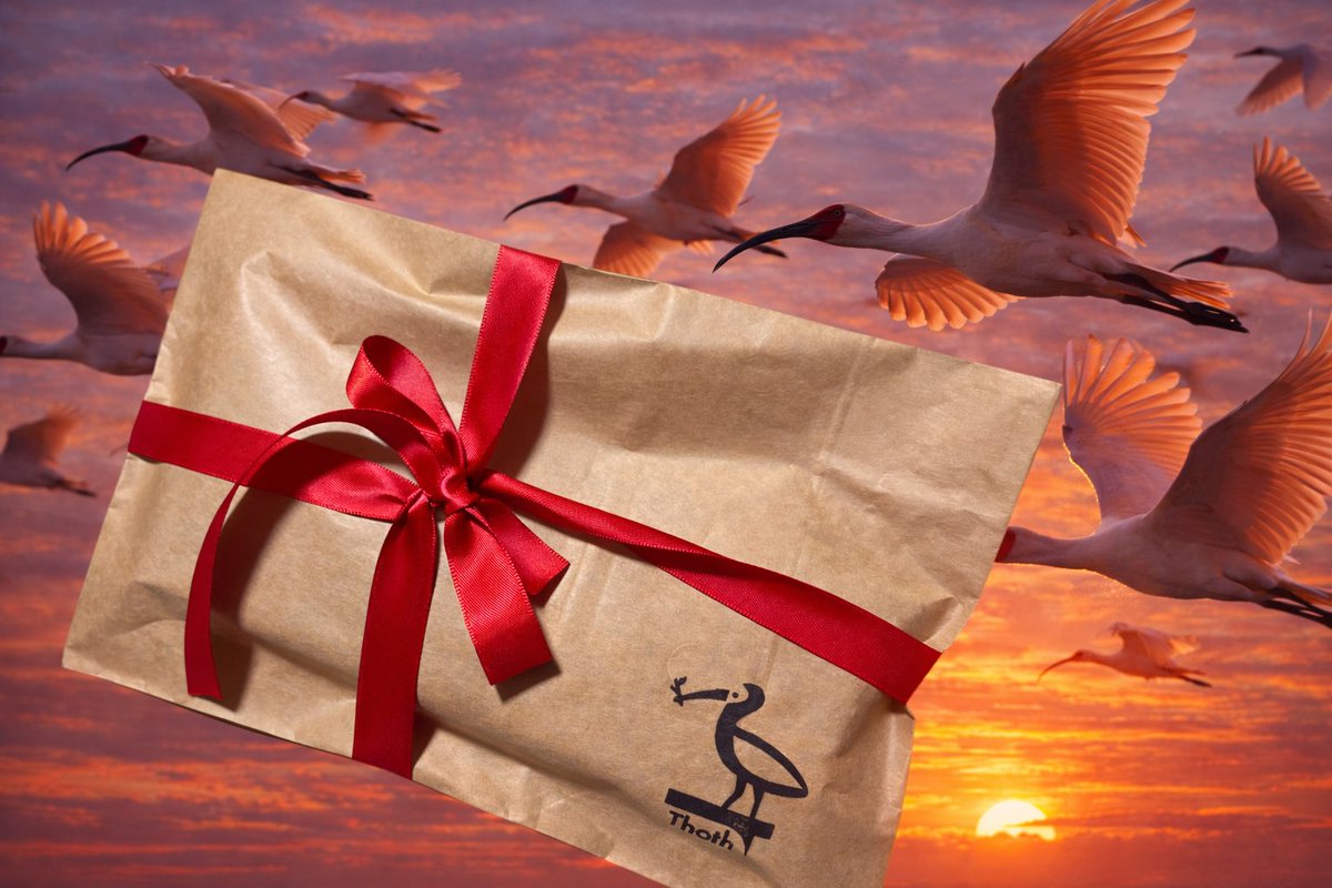 Komitcy Figured tweet media