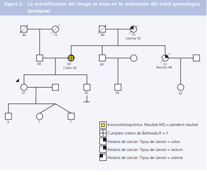 AFALynch, asociación familias con #síndromedeLynch tweet media
