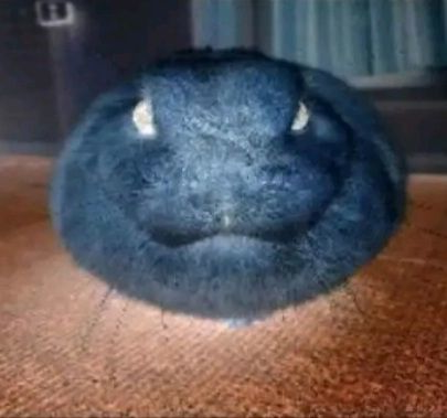 Legit Item Asylum Leaks tweet media