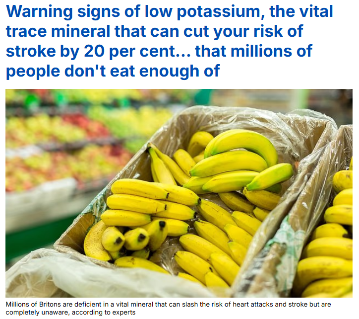 AHMED ALZAMER tweet media