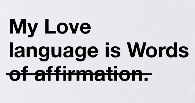 Niko Steinbrecher tweet media