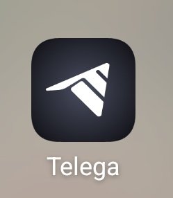 MetaNolia88 tweet media