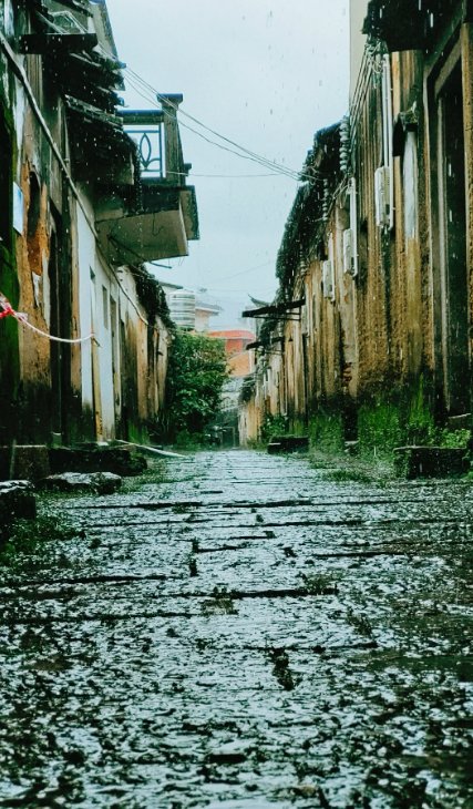 jmhbdlkrym2's tweet image. Join our Community Clean-Up u0026 Picnic this Saturday! 9 AM at Central Park—bring gloves, a reusable bag, and a friend! We’ll tidy the lake area then enjoy snacks together. Let’s make our neighborhood shine! #CommunityLove #CleanGreenFun