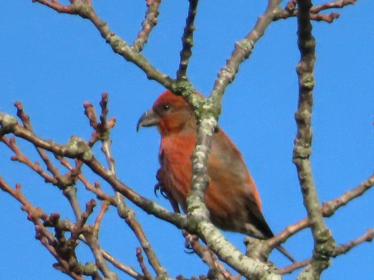 StormchaserAl tweet media