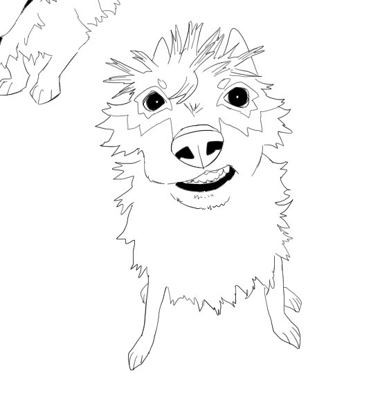 Marsopps ⭐ tweet media