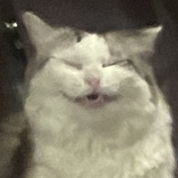 💗 MOCHI 💗 tweet media