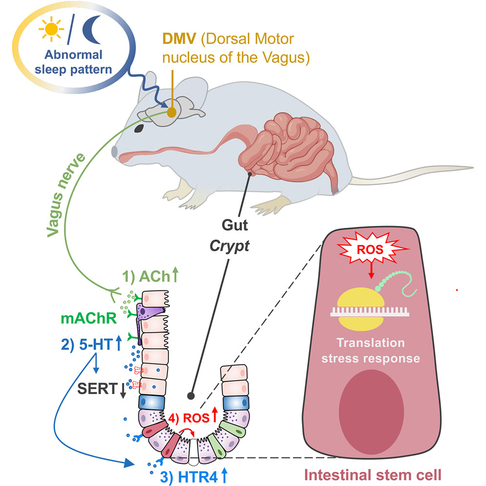 MedChemExpress tweet media