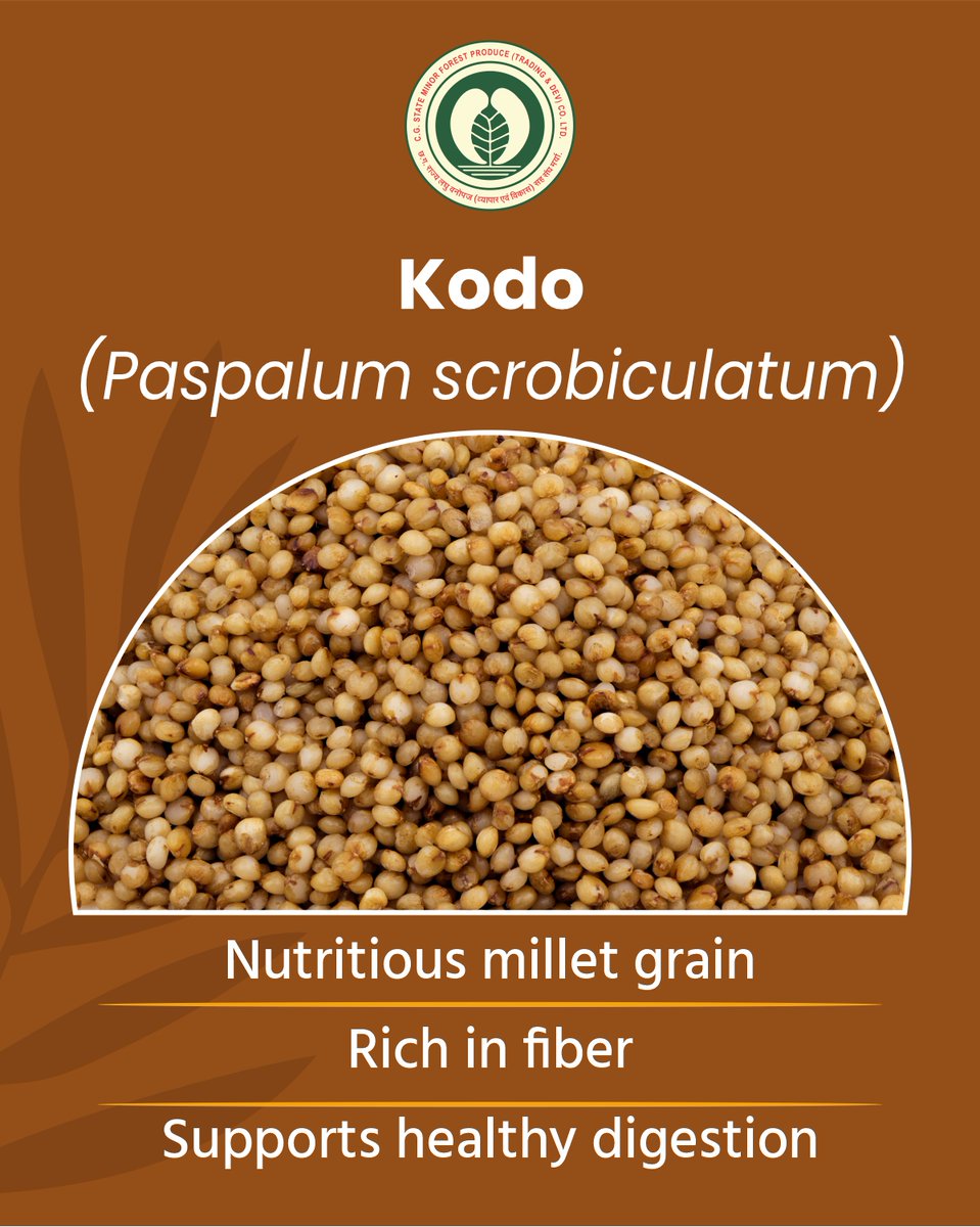 CGMFPFED's tweet photo. Kodo (Paspalum scrobiculatum) is a nutritious millet rich in fiber that supports healthy digestion and balanced diets. 

#KodoMillet #HealthyGrains #MilletNutrition #CGMFPFED https://t.co/dUQbYxs7gB