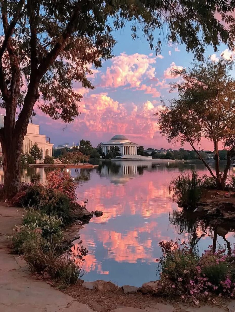 𝑝𝑢𝑟𝑒 tweet media