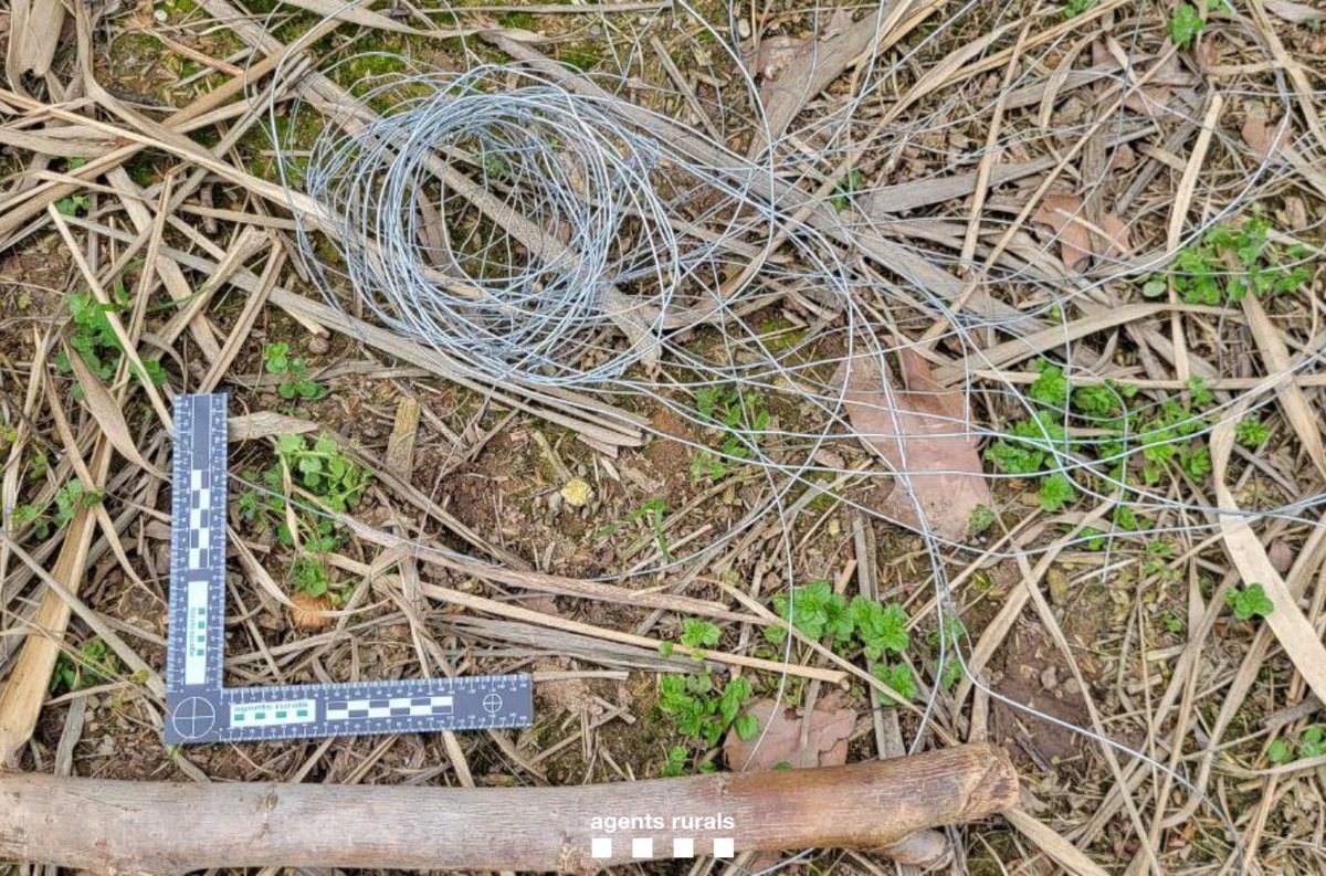 Agents Rurals tweet media