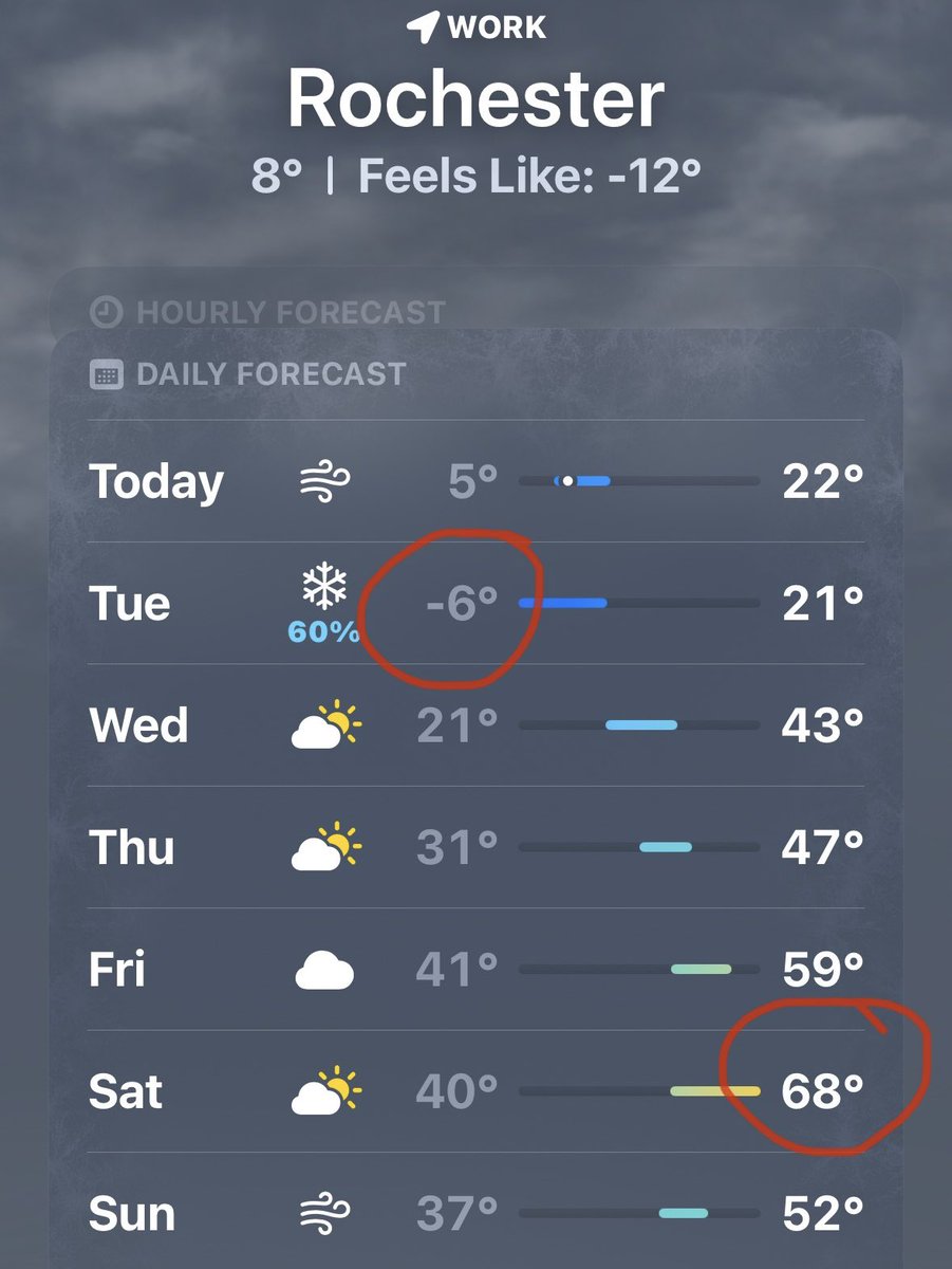 Andy Molitor tweet media