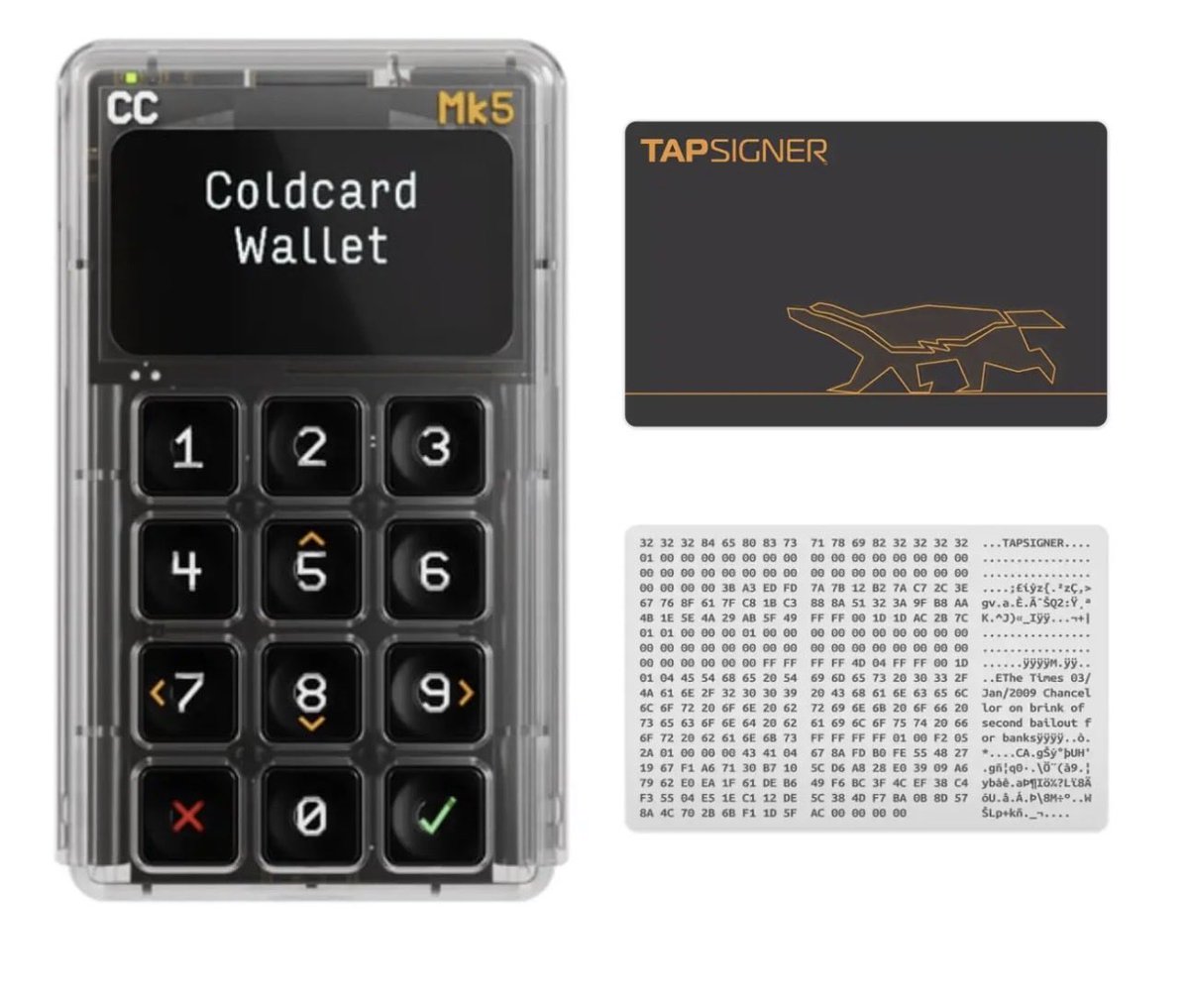 Bitcoin Brabant tweet media