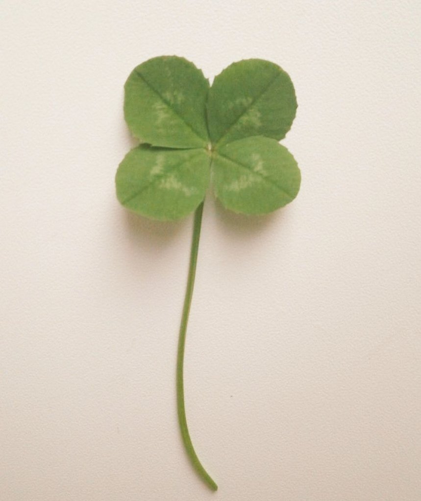 mimi ୨ৎ tweet media