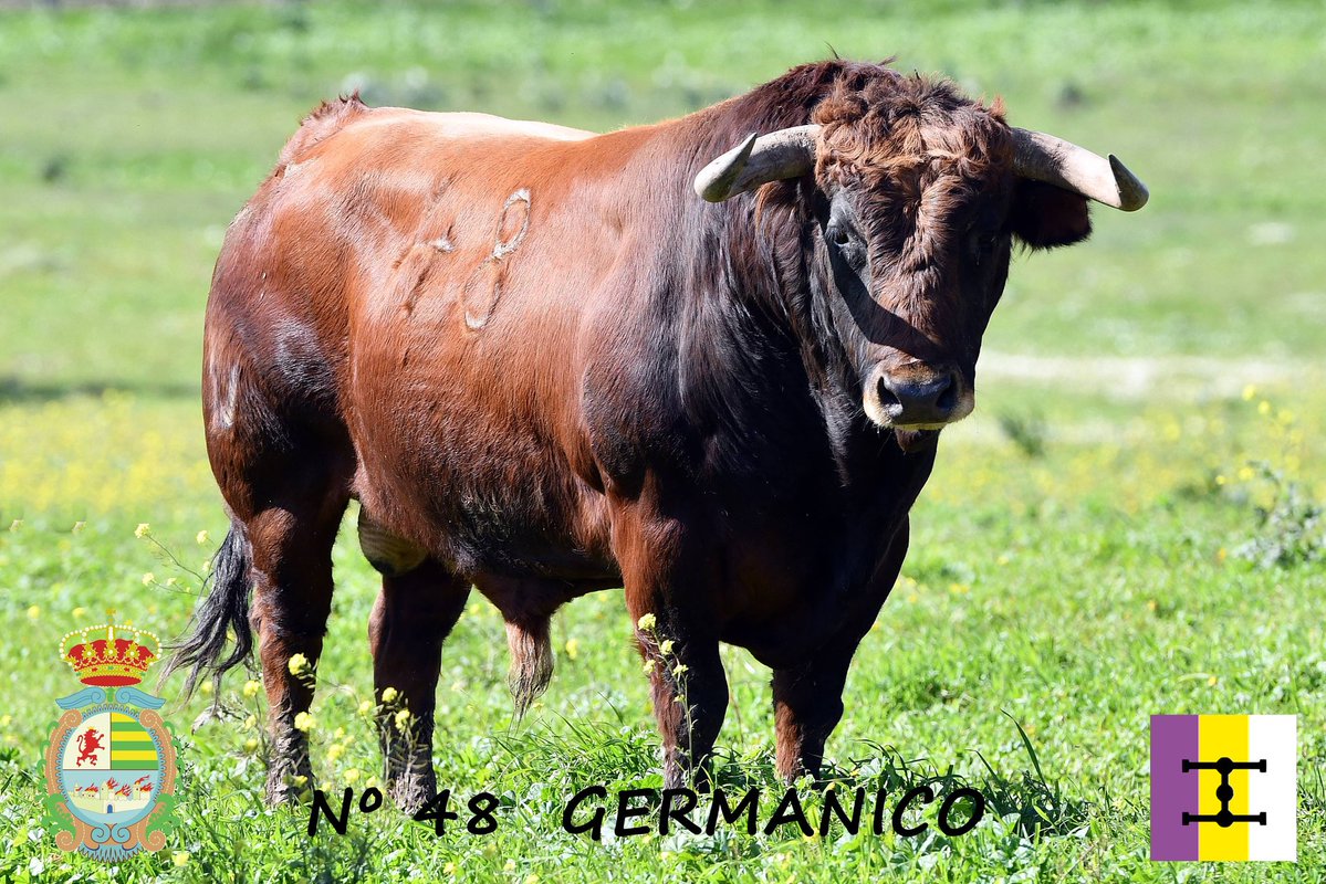 Ignacio Lozano tweet media