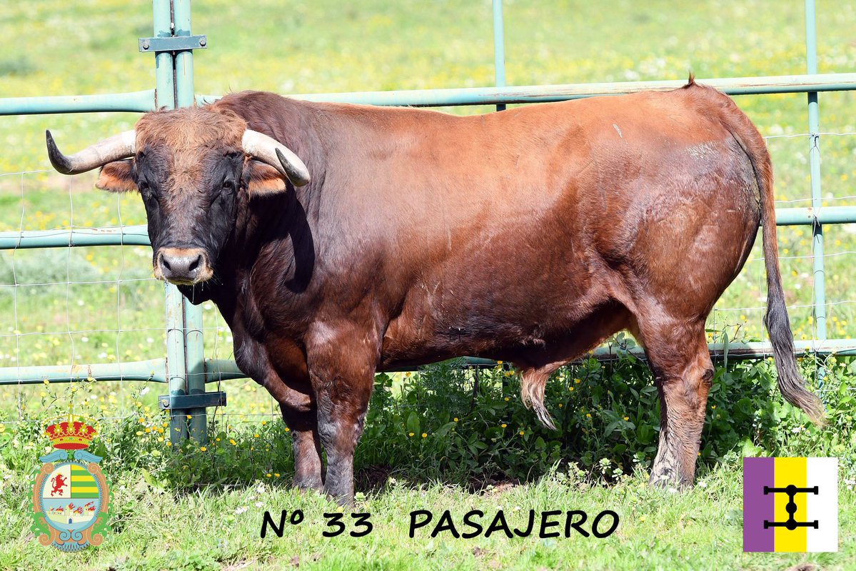 Ignacio Lozano tweet media