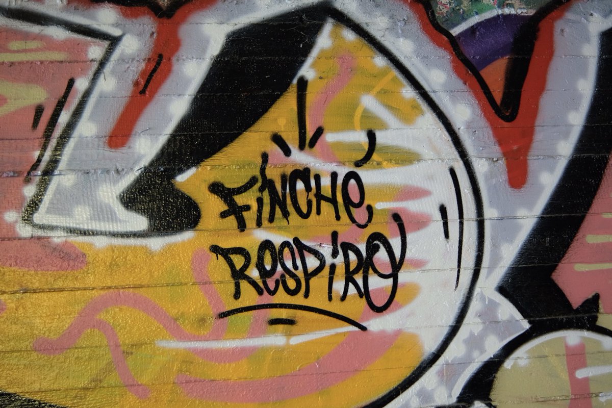 Portale Giovani tweet media