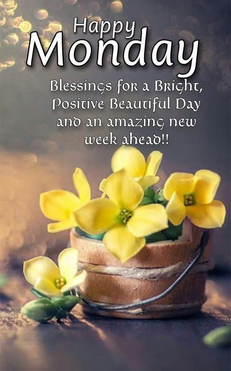 Have a Magnificent and Safe Monday!
Always Be Kind and Enjoy the Opportunity to Celebrate Others! 🙏🏽❤️🎉😇