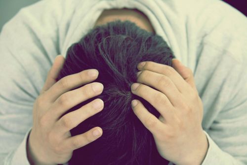 North West Learning Partnership tweet media