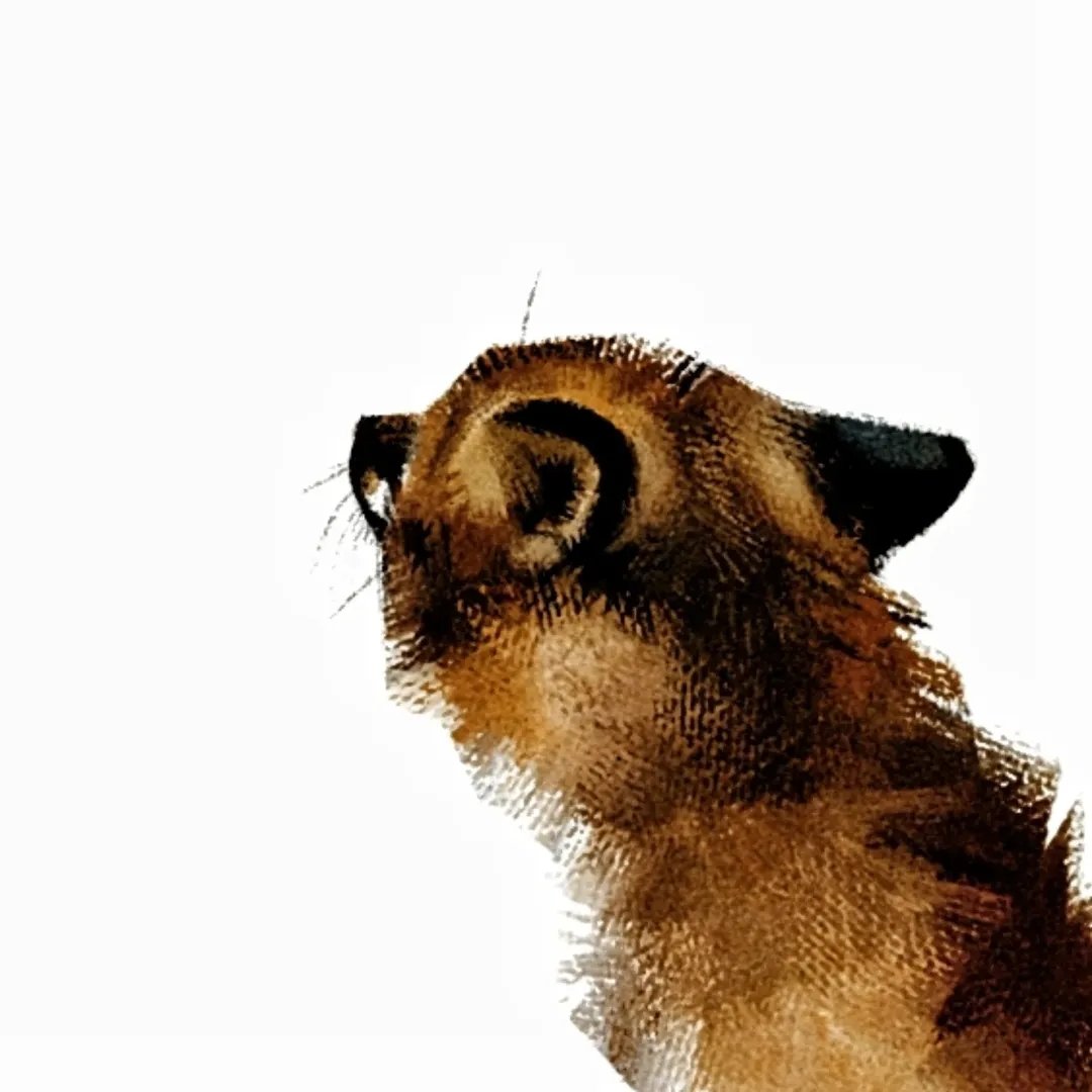 Skia𓅃 tweet media