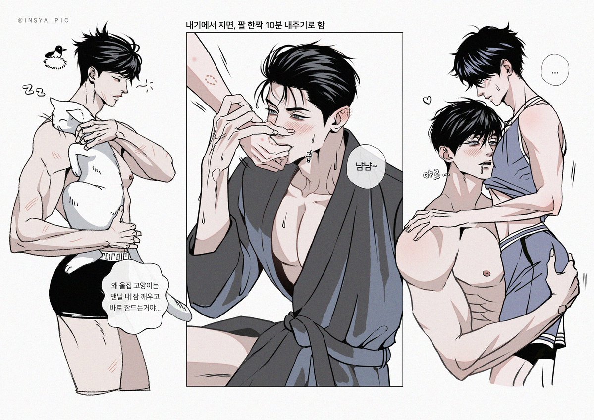 인샤 ɪɴsʏᴀ tweet media