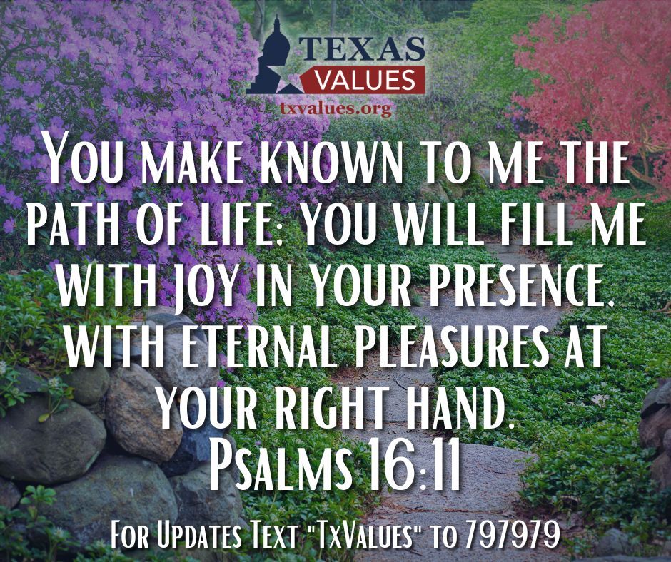 Texas Values (text txvalues to 797979 for update) tweet media