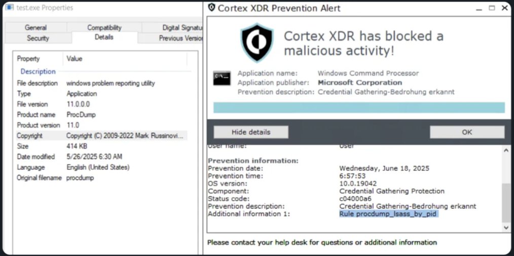 eleven red pandas tweet media