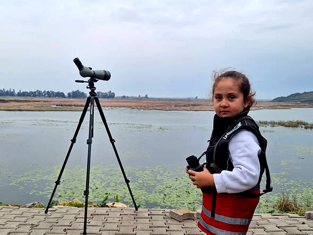 Metin Dingil tweet media