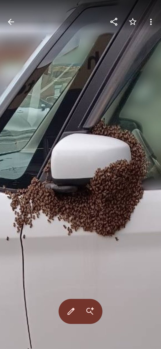 こま次郎 tweet media