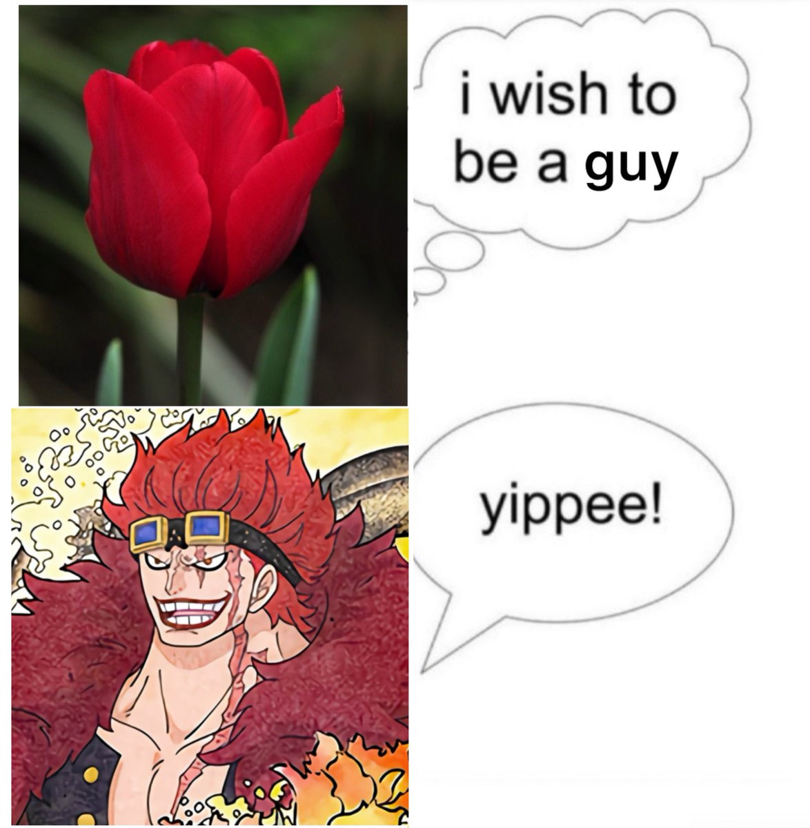 tulipilled_'s tweet photo. tulip head 🌷 #eustaskid https://t.co/3uN8UqNkNQ