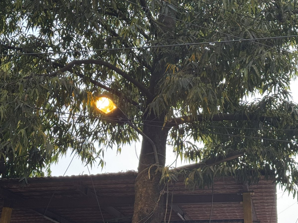 prathapmccall's tweet photo. @BescomHelpline kindly have this street light turned off during the day time. Location near the Rotary Club of Bangalore and Basappa Complex https://t.co/UsNWcstGix