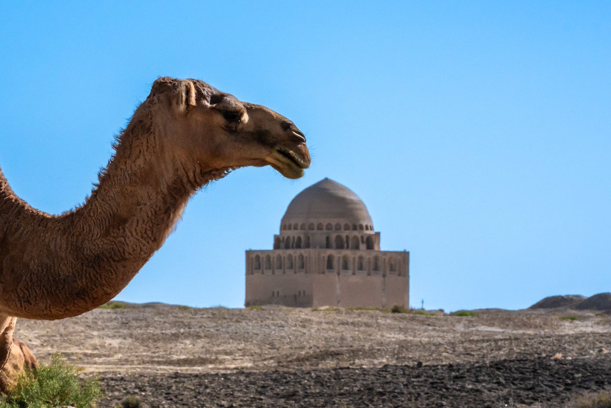 Untamed Borders tweet media