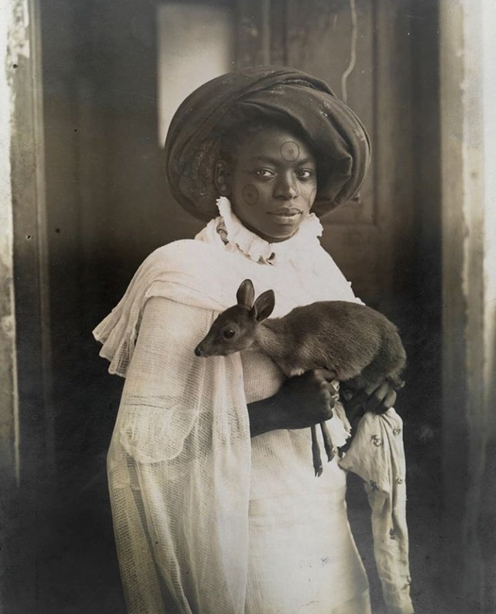 WikiVictorian tweet media