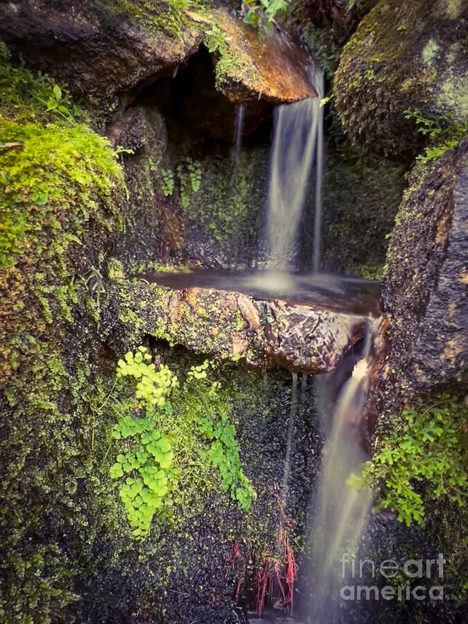 erinmdorffette's tweet image. A #zen #waterfall to bring your #peace and quiet when you need it from looking at your #art #wallart or #homedecor

faa.savingmemoriesbymakingmemories.com/featured/zen-i…