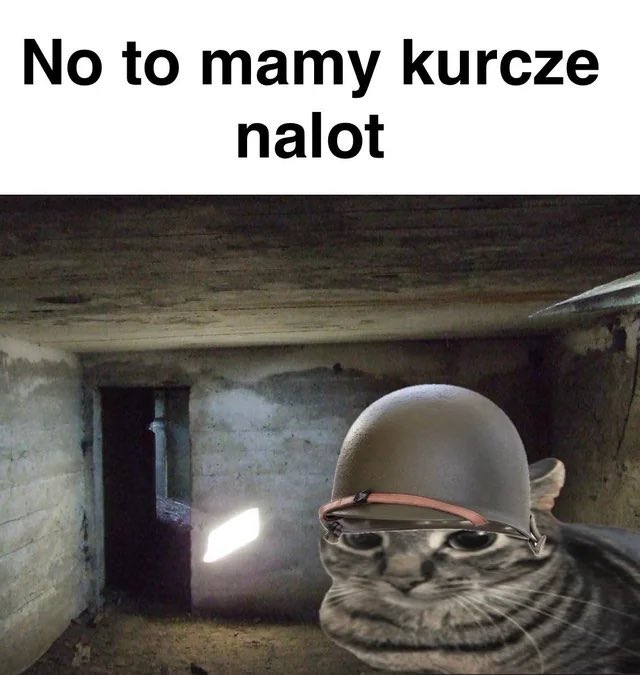 Wiktoryj tweet media