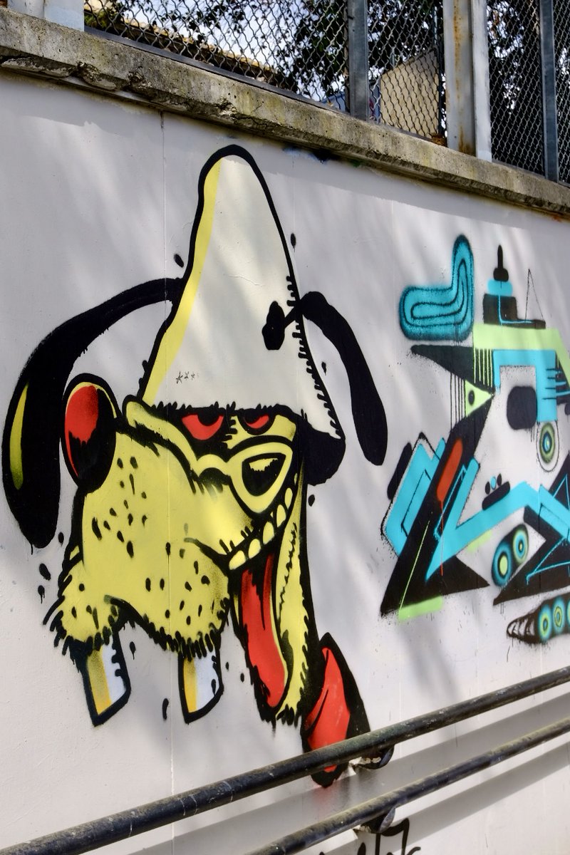 Portale Giovani tweet media