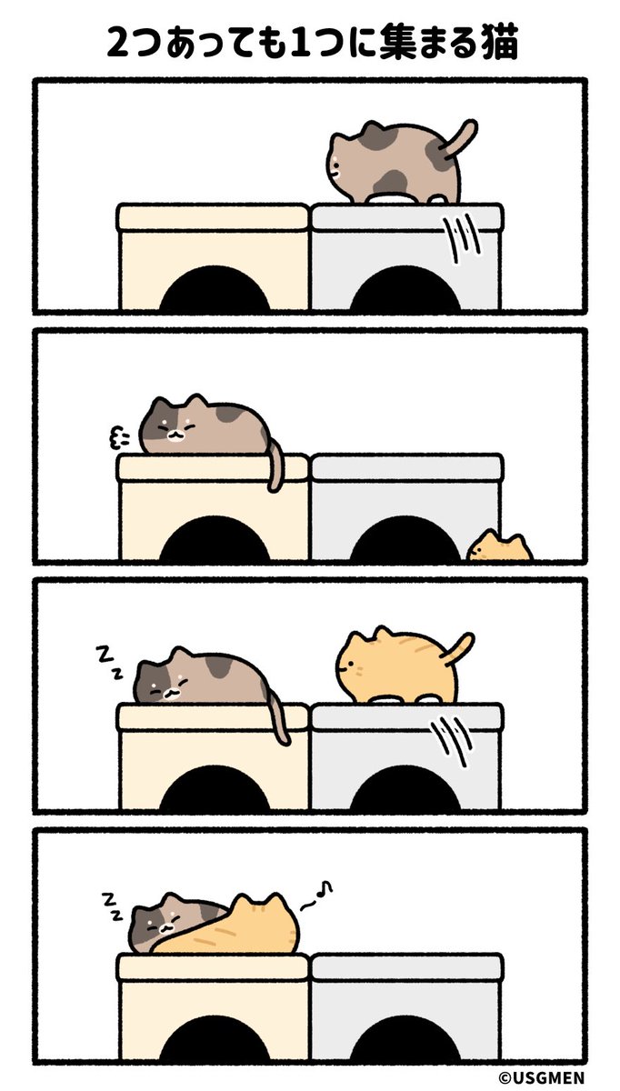 うさぎメン tweet media